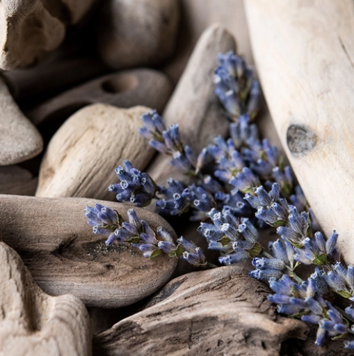 Lavender Driftwood (Лаванда & Коряги) FRG-490-10 фото