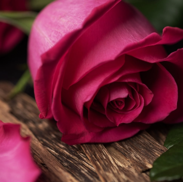 Rose & Oud (Роза & Уд) FRG-471-10 фото