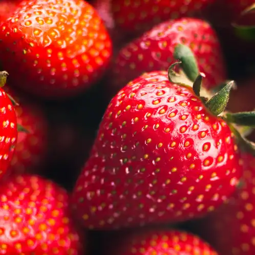 Strawberry Element (Полуничний Елемент) BL-01-10 фото