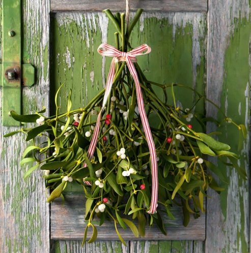 Mistletoe (Омела) FRG-399-10 фото
