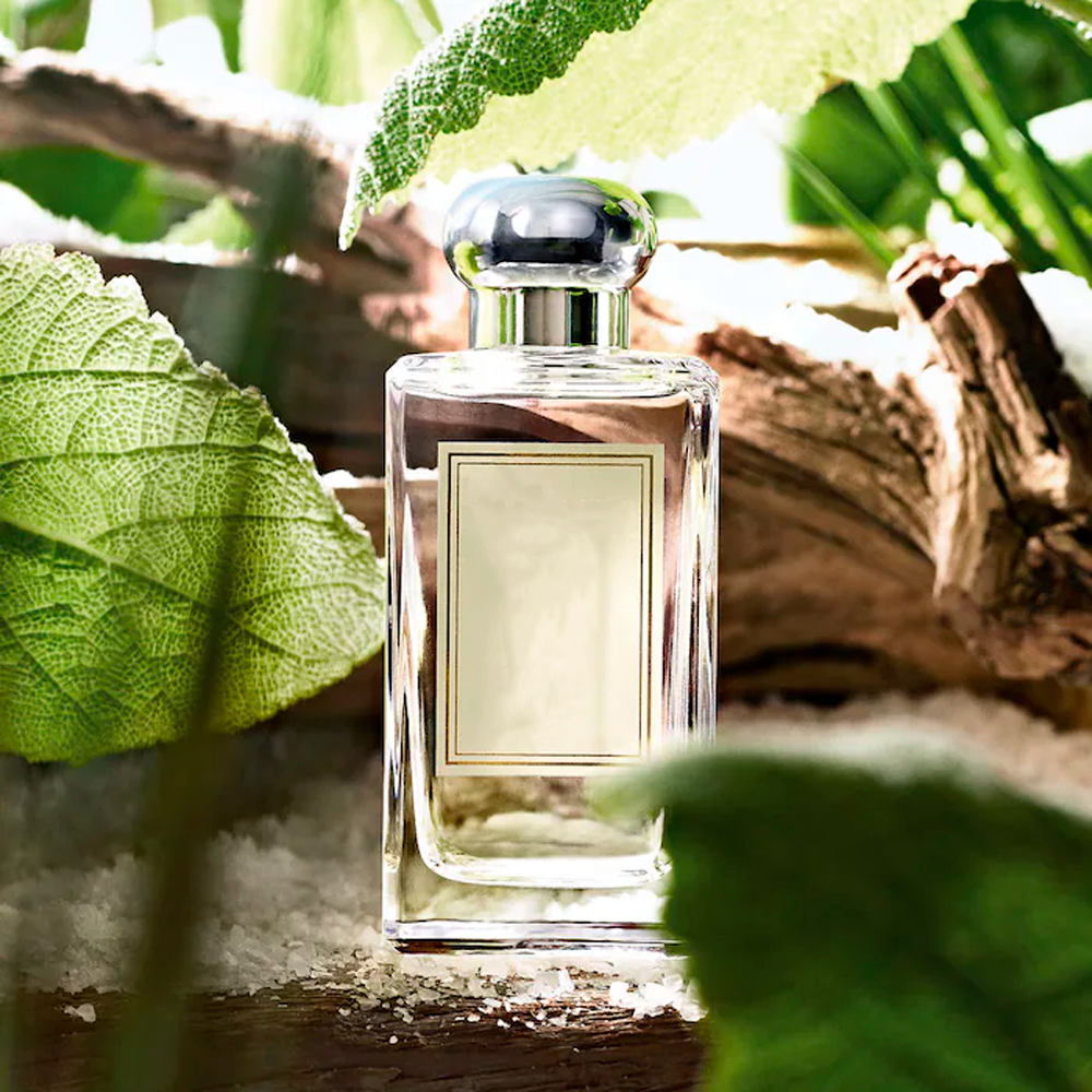 Wood Sage & Sea Salt - по мотивам відомого аромату Jo Malone™, семпл (5г)